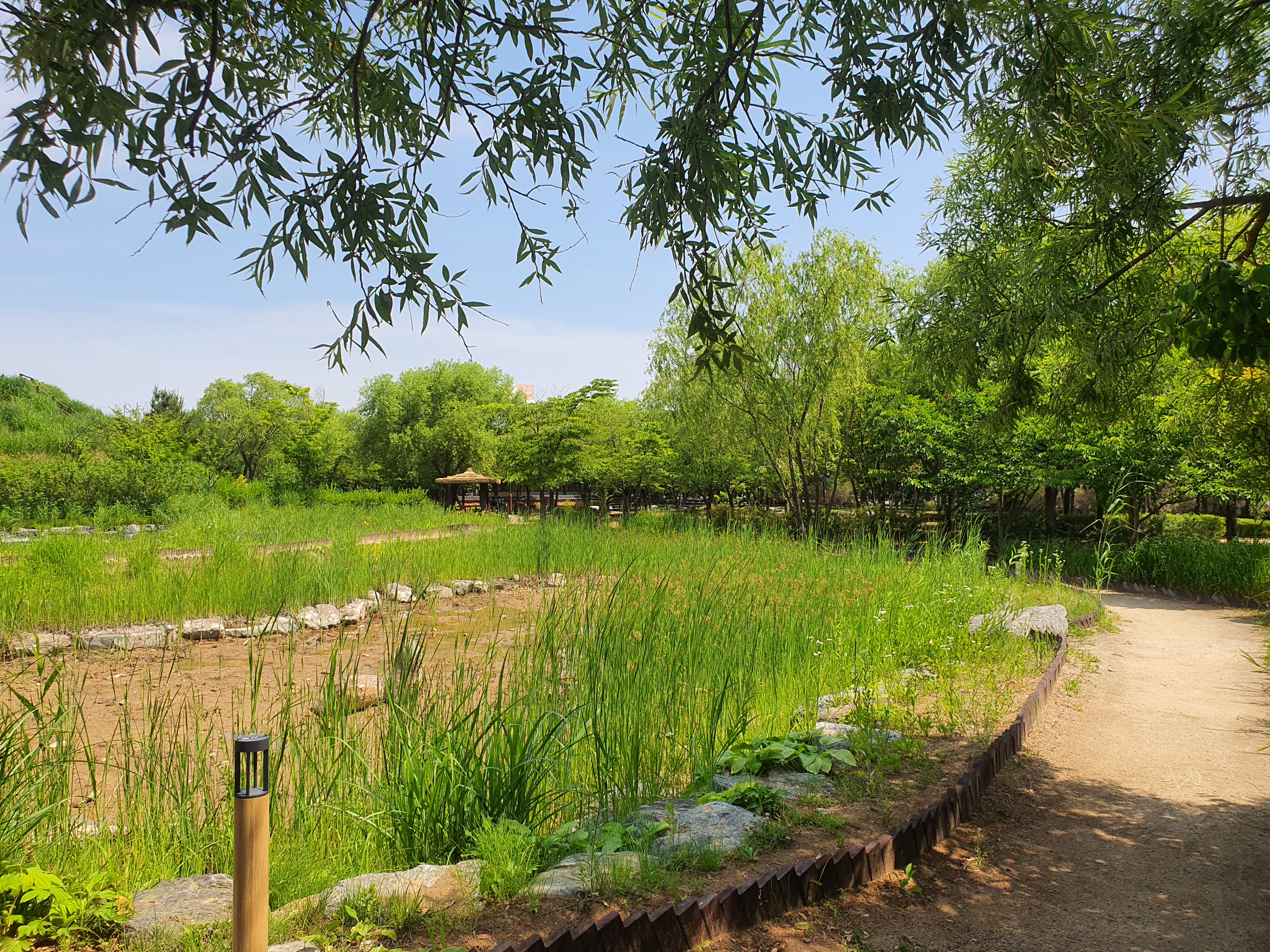 인천 산책하기 좋은 월미공원 물범카 이용 안내