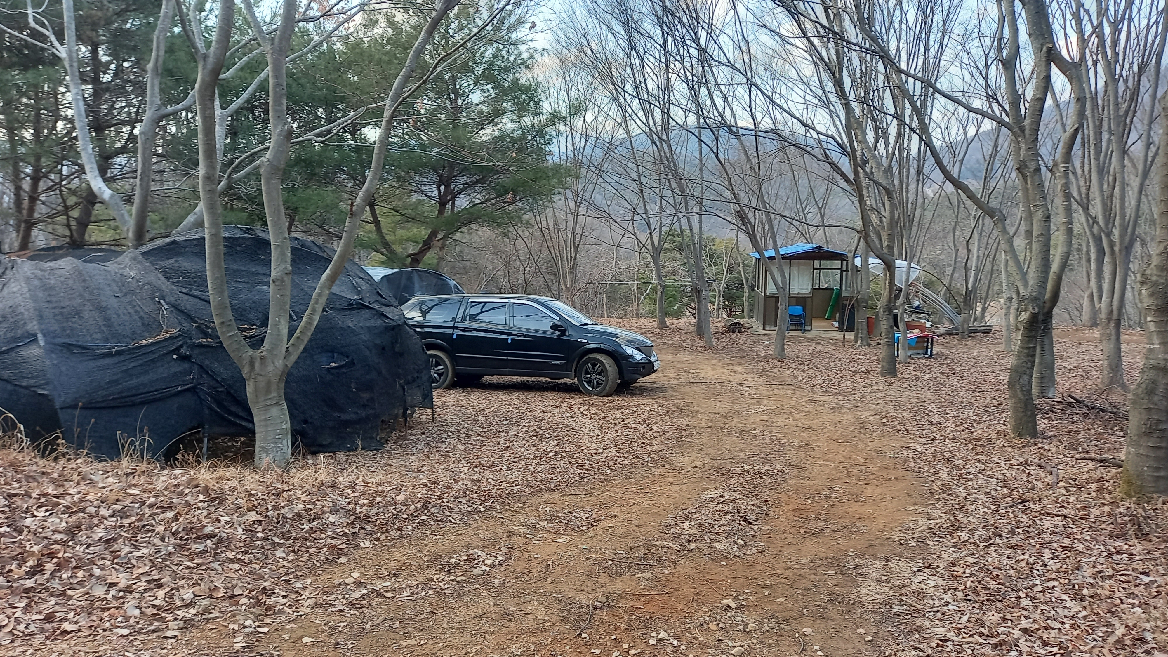 영상일기/20230216/나대자연 35