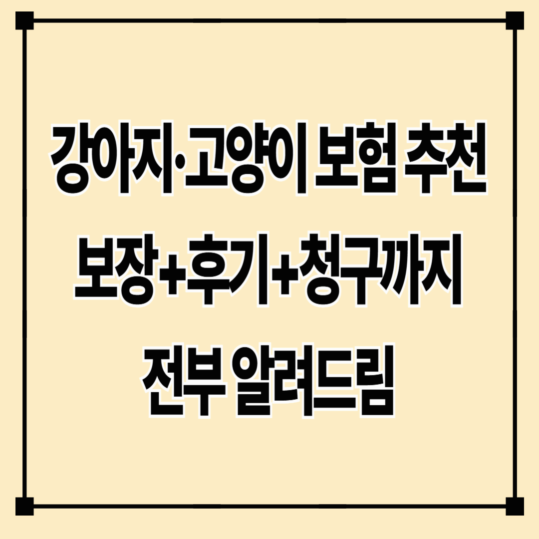 반려동물 보험 추천