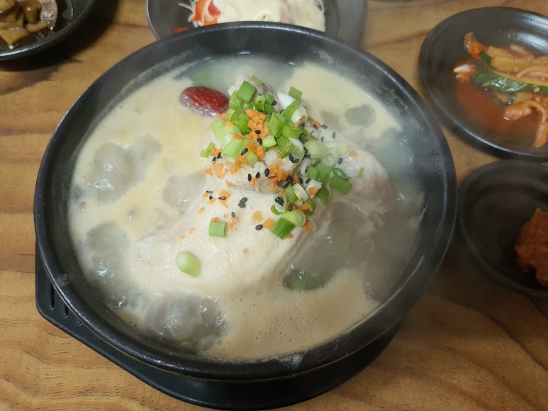 진영 산야초 말복에 김해 2