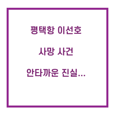  평택항 사망사고 이선호 안타까운 진실...
