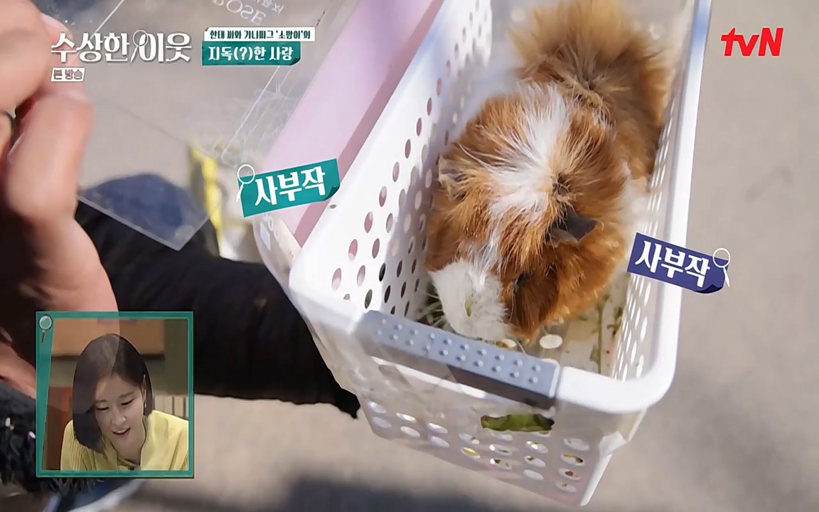 수상한 이웃.E02.220408p-NEXT.mp4_20220409_180951.682.jpg