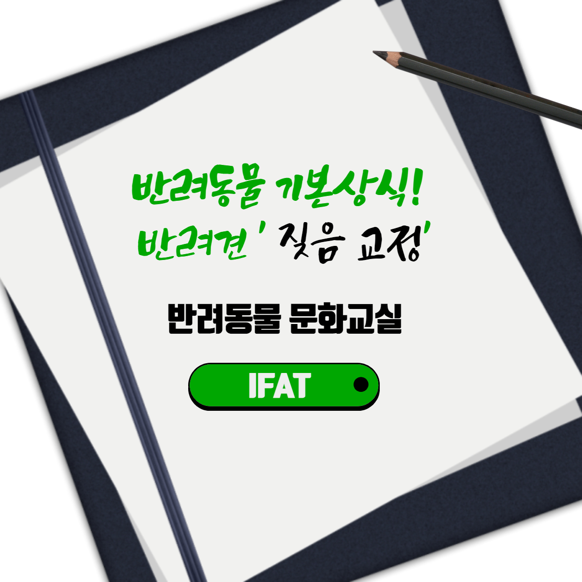  반려동물 기본상식! 반려견 '짖음 교정'