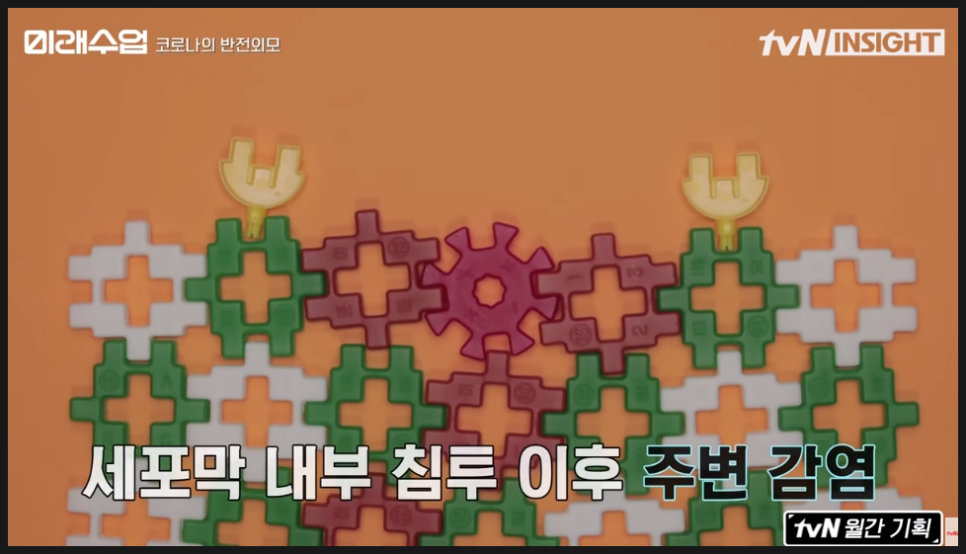 tvn 인사이트 코로나19(COVID-19)총정리tvN인사이트 미래수업/면역력 자가 테스트/면역력