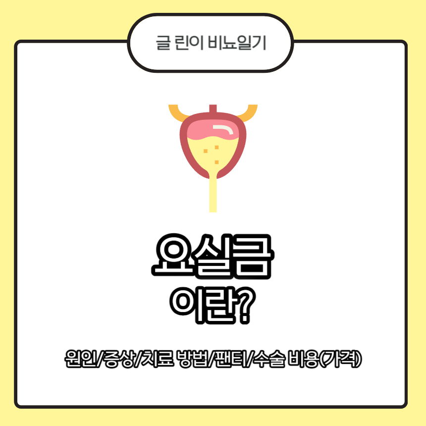  요실금 이란? 원인/증상/치료 방법/팬티/수술 비용(가격)