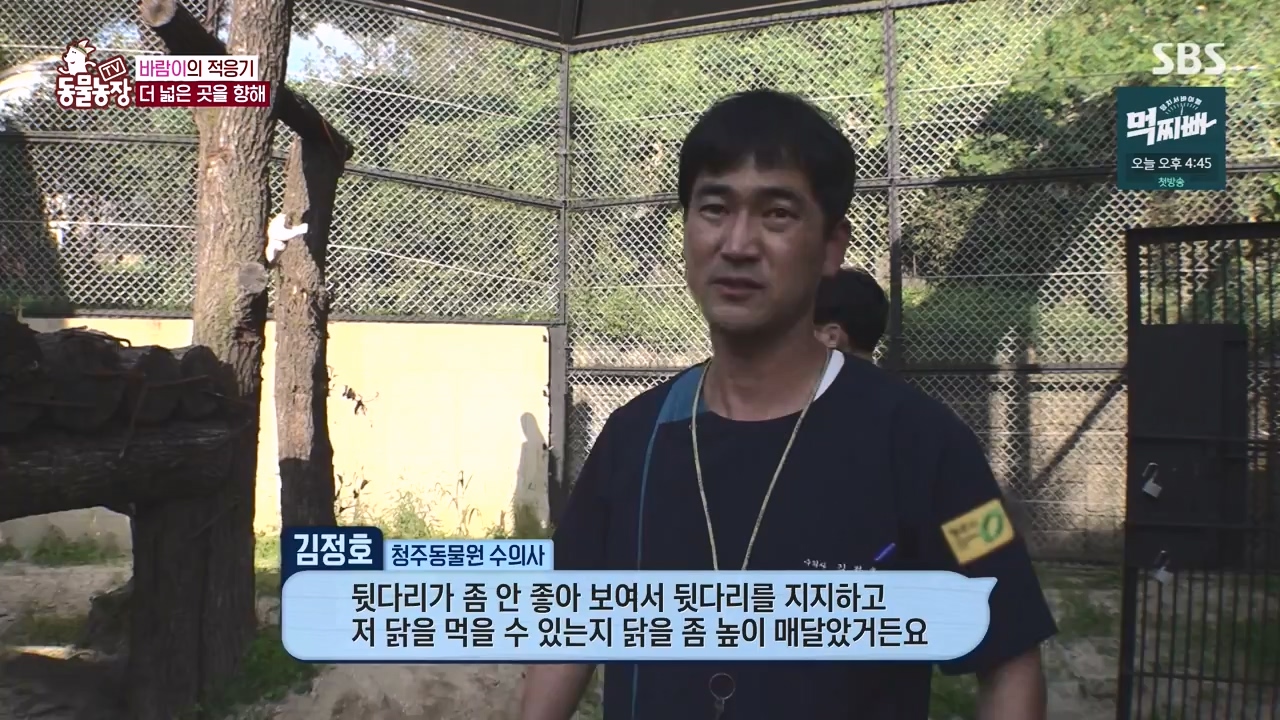 TV 동물농장.E1140.231009p-NEXT.mp4_20231008_174829.603.jpg