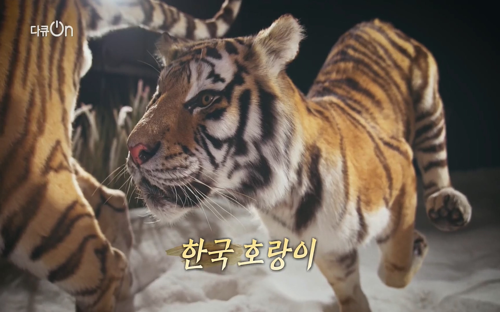 다큐 On.E150.220729p.H264-F1RST.mp4_20220730_164036.319.jpg