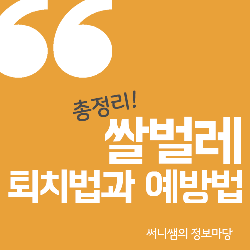  쌀벌레 없애는법과 생기는 이유