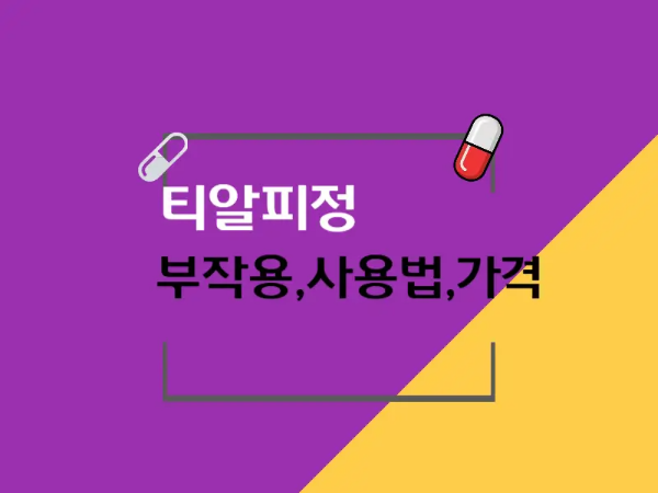 티알피정 안내 이미지