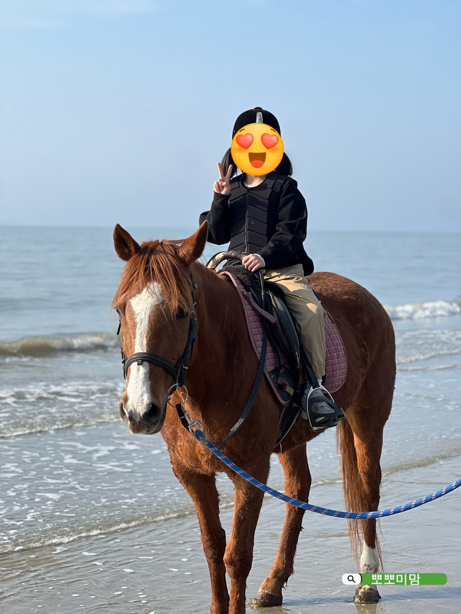 휘게팜 이미지