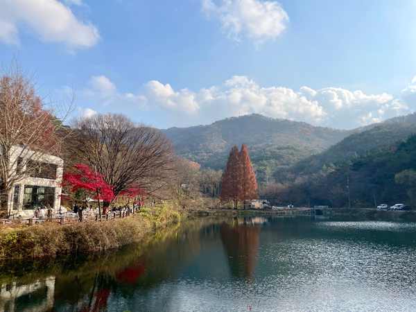 예쁜공주 카페 엔학고레 7