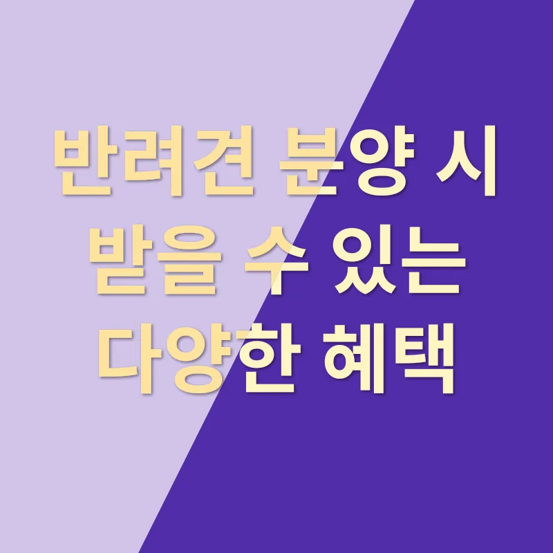 반려견 분양_2