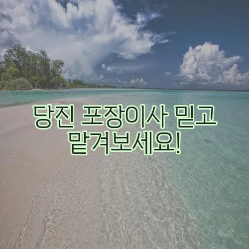 당진 포장이사 믿고 맡겨보세요!