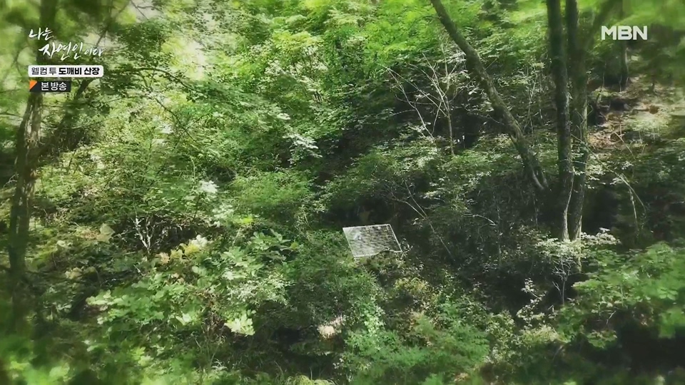 나는 자연인이다.E563.230719p.H264-F1RST.mp4_20230720_214636.582.jpg