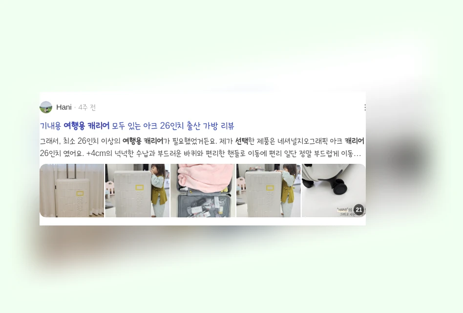 여행용 캐리어 선택_2_subsection