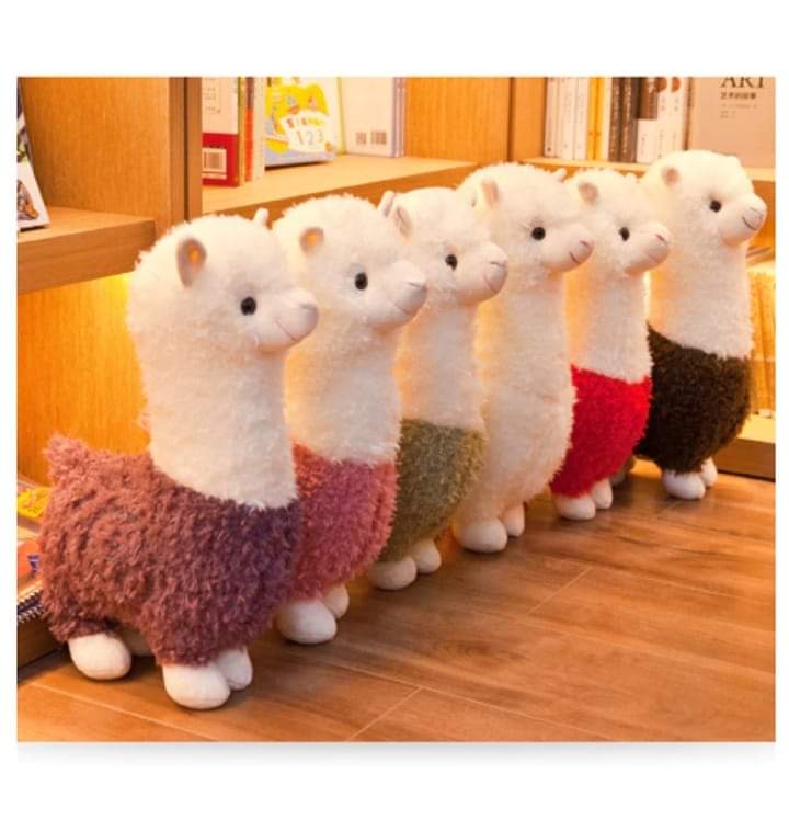  (주식) 시장 대응 전략