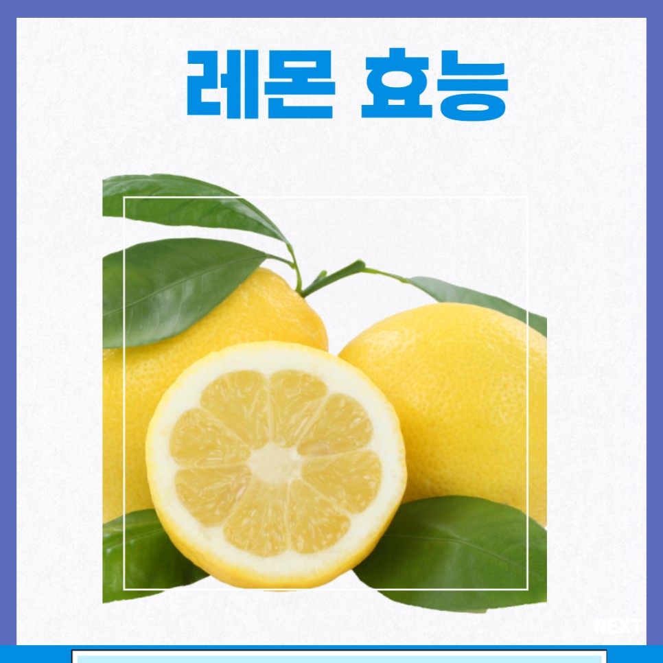 레몬 효능 레몬물 레몬청 레몬차 효능 칼로리 부작용