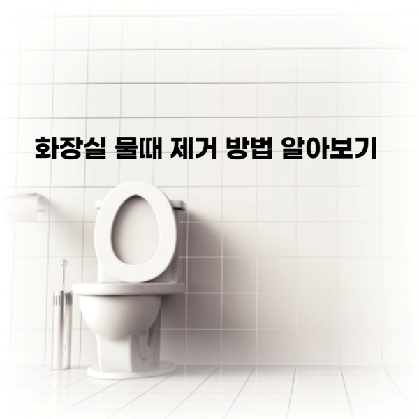  화장실 물때 제거 방법, 깨끗하고 효과적인 방법 알아보기