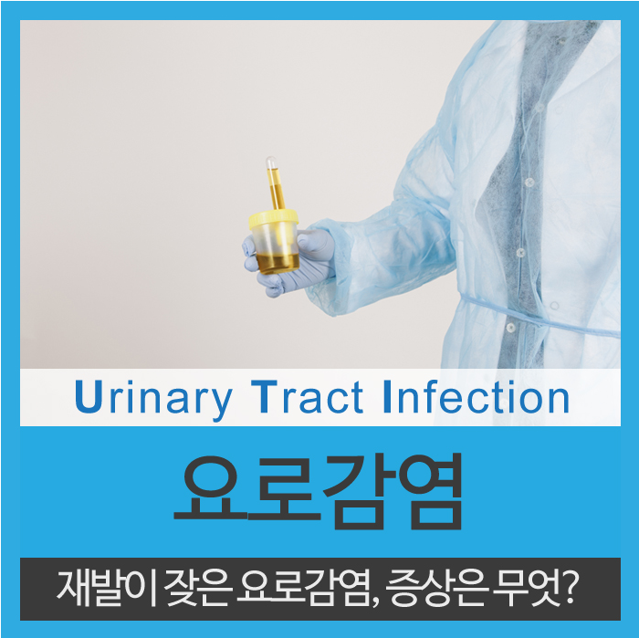  요로감염 증상 재발률 높습니다