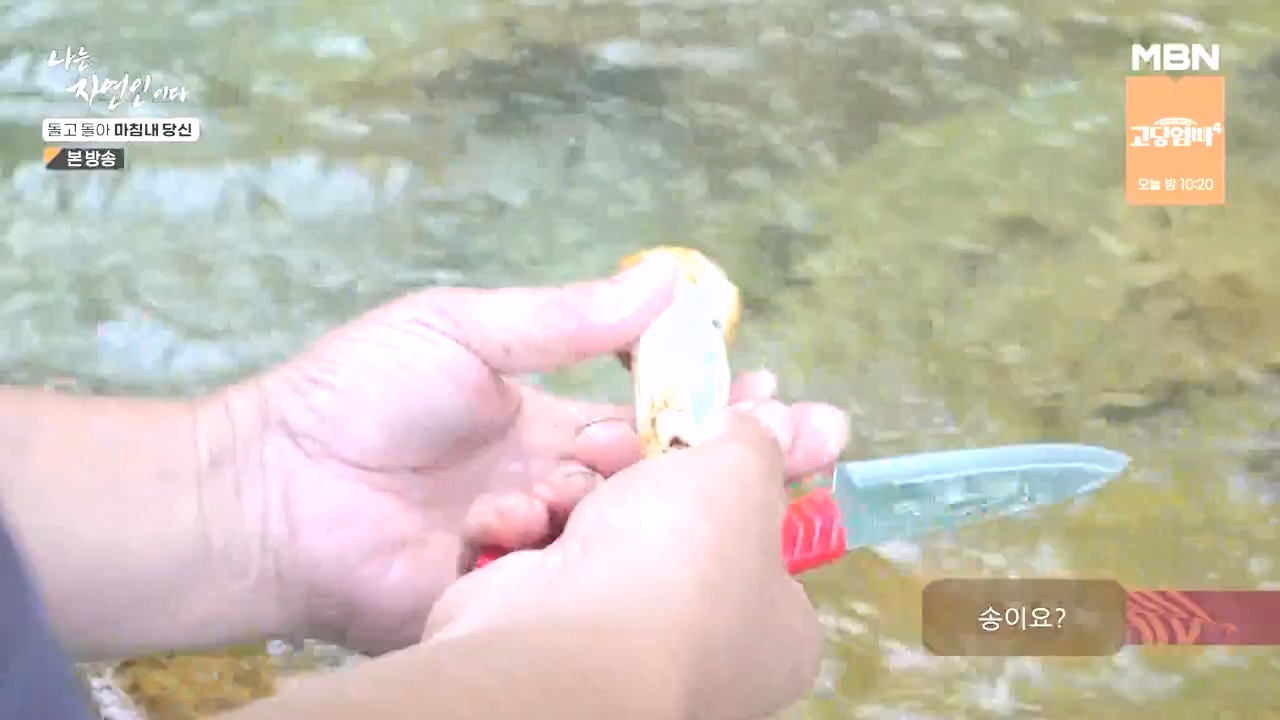 나는 자연인이다.E577.231026p-NEXT.mp4_20231026_200352.323.jpg