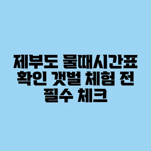 제부도 물때시간표 확인 갯벌 체험 전 필수 체크