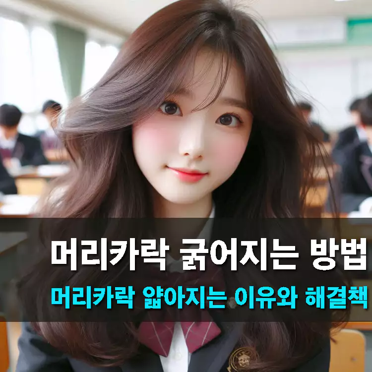 머리카락-굵어지는-방법-머리카락-얇아지는-이유와-해결책