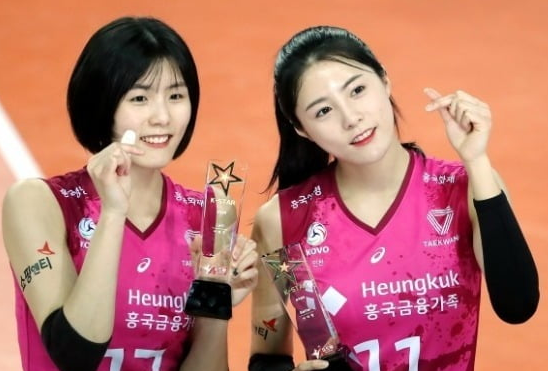  이재영, 이다영 TV 뉴스 9관왕 그랜드 슬램 달성, 학폭의 주인공, 여러 의미로 전설적인 쌍둥이 흥국생명 핑크 스파이더스의 전설...