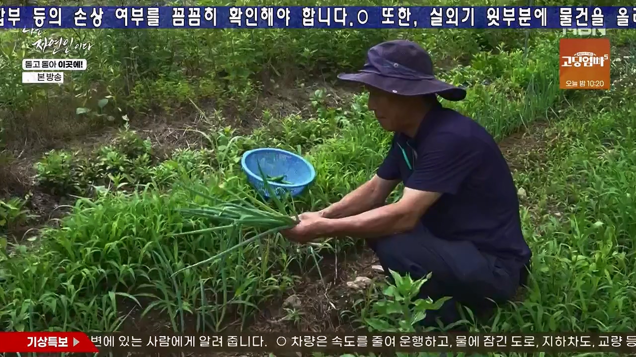 나는 자연인이다.E614.240718p-NEXT.mp4_20240718_195138.704.jpg