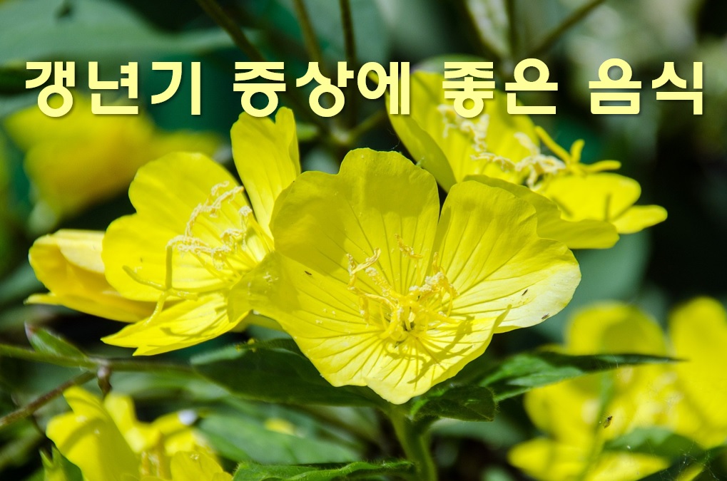  갱년기 증상에 좋은 음식과 치료방법