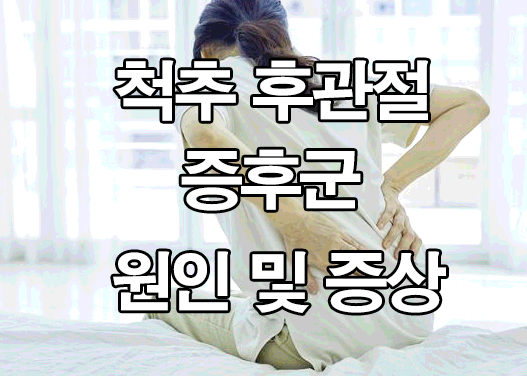  척추 후관절 증후군 원인 및 증상