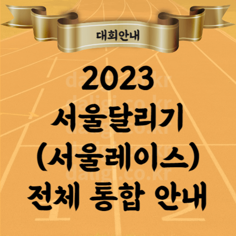 2023 서울달리기 마라톤 대회 코스 참가 기념품 등 전체 총 정리 (하프&#44; 11K)