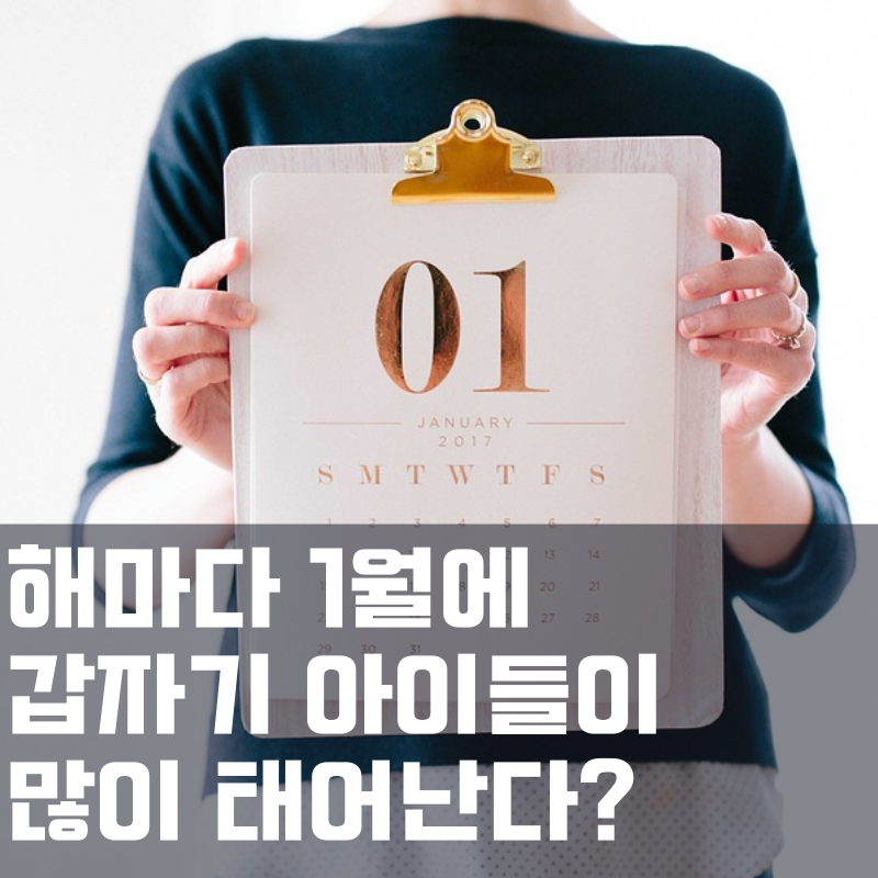  1월에 신생아가 가장 많이 태어나는 이유?