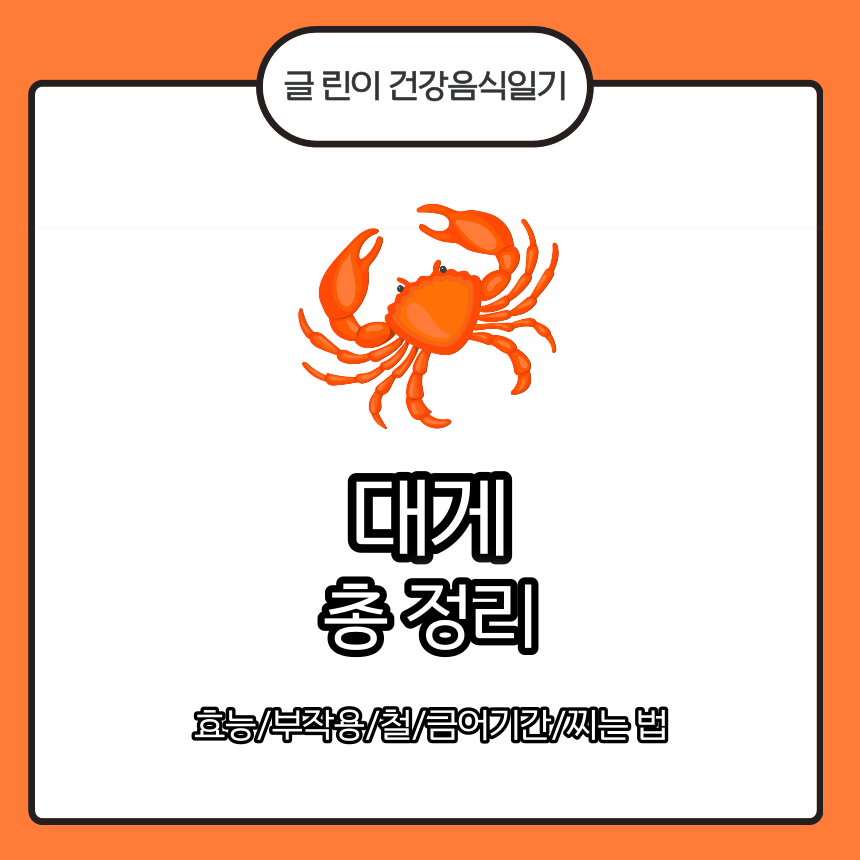  대게 총 정리 효능/부작용/철/금어기간/찌는 법