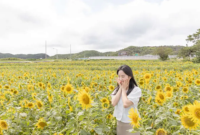 호미곶