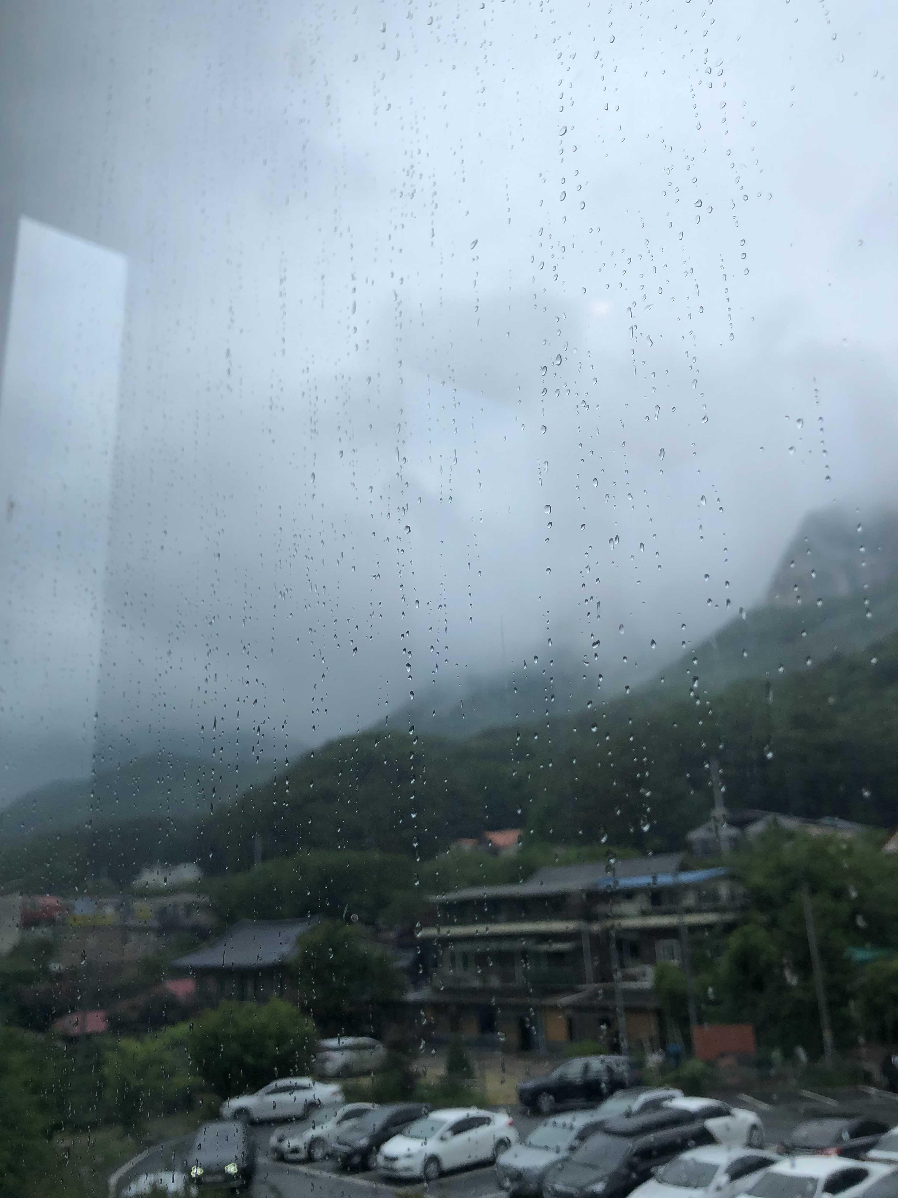  대전 근교 당일치기 드라이브 동학사 어썸 845