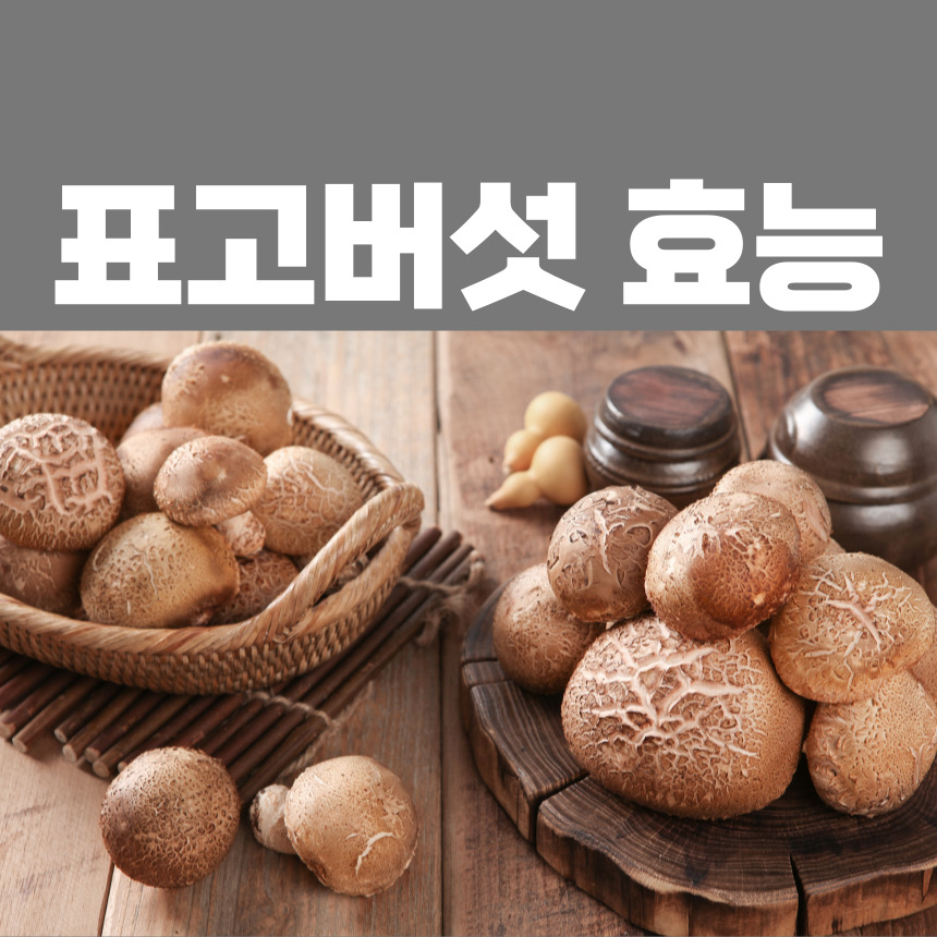 표고버섯 효능