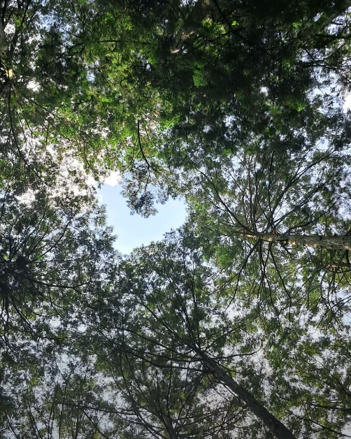 무등산 국립공원