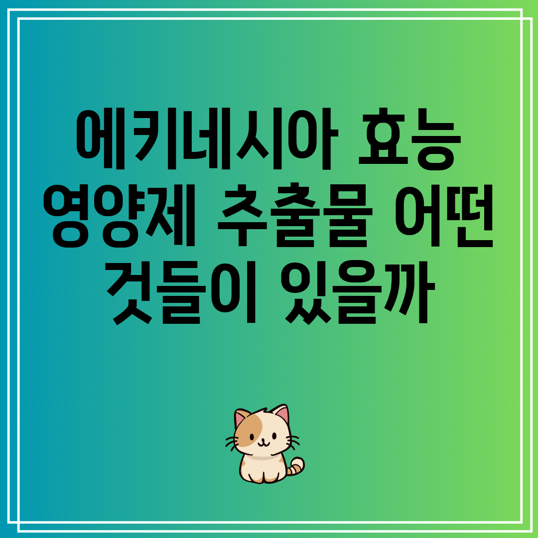 에키네시아 면역력 강화 감기 예방 다양한 추출물 비교