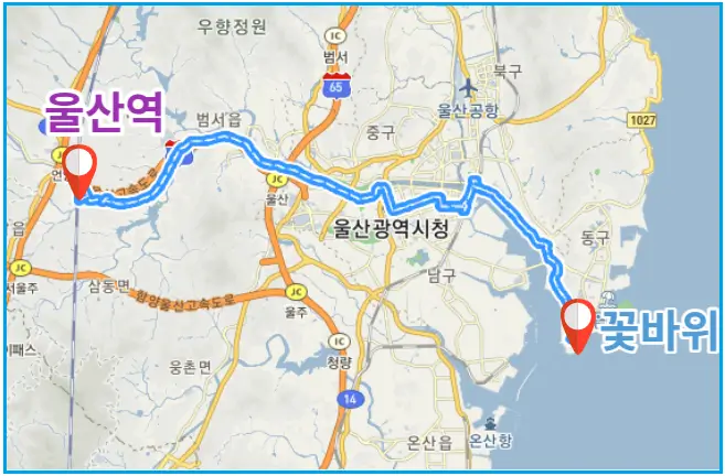 500번-버스-경로