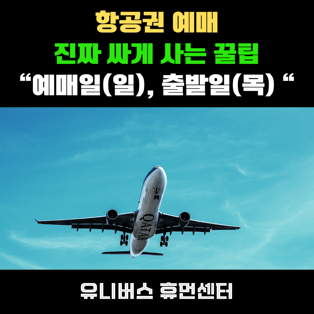 이것만 알면 항공권 예매 끝! 요일별, 시기별 빅데이터 꿀팁 대공개