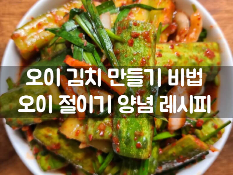 오이김치 만들기 양념 레시피 오이 절이기 칼로리 효능 총정리