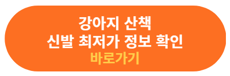 강아지 산책용 신발 정보 확인하기