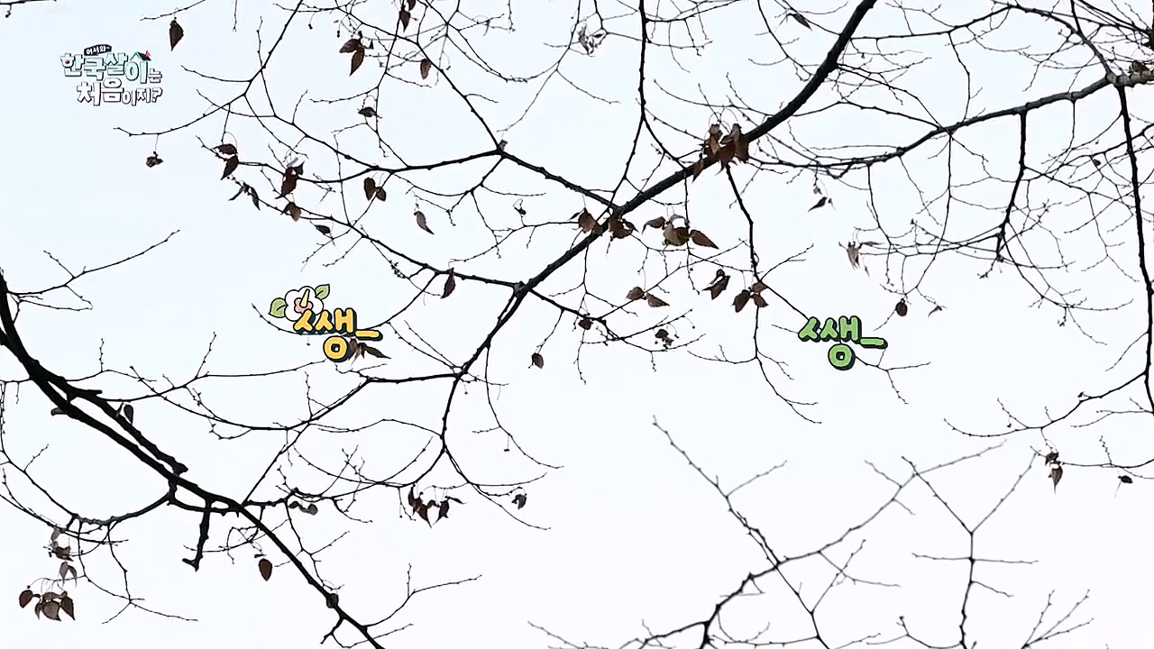 어서와 한국살이는 처음이지.E07.230132p-NEXT.mp4_20230201_203508.040.jpg