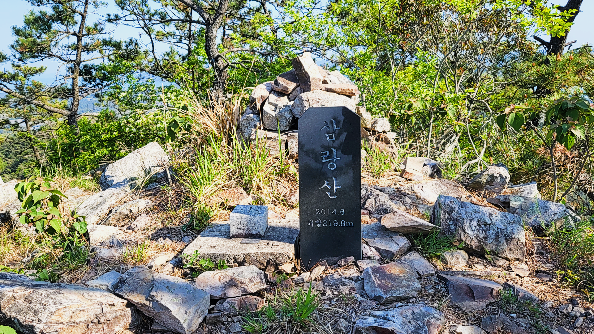 완도스타일 이미지