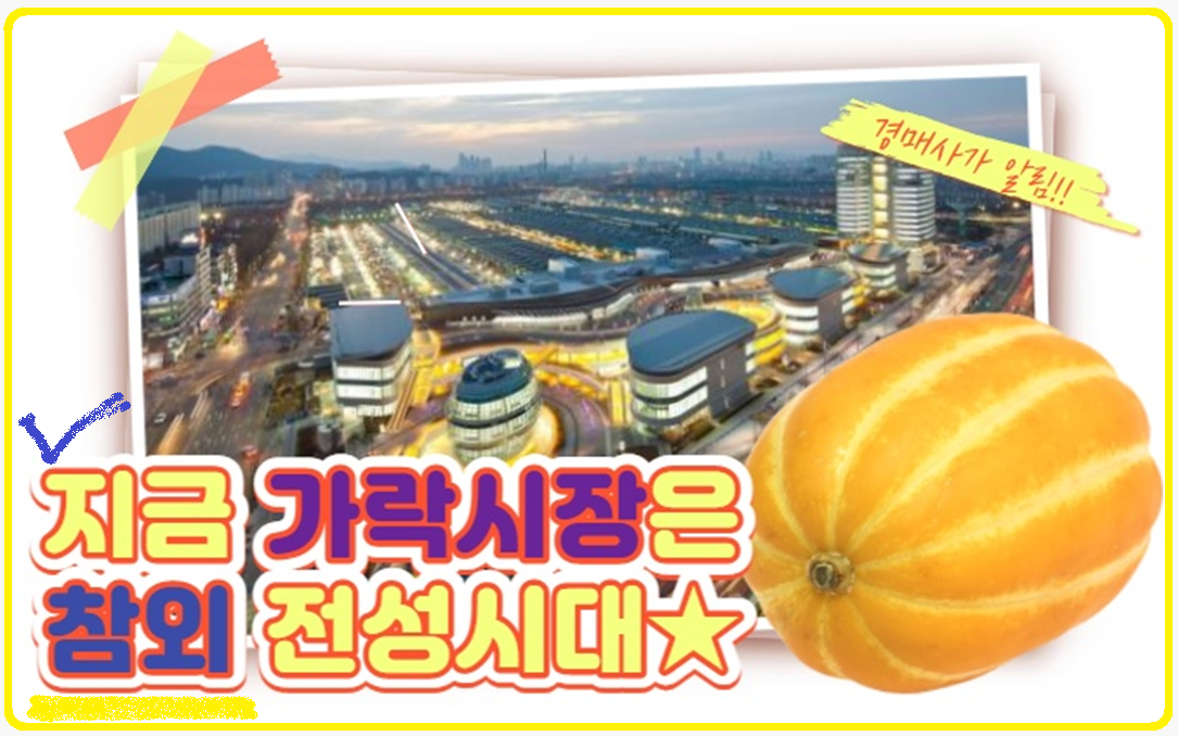  지금은 "참외시대" 제철농산물 먹을시다!