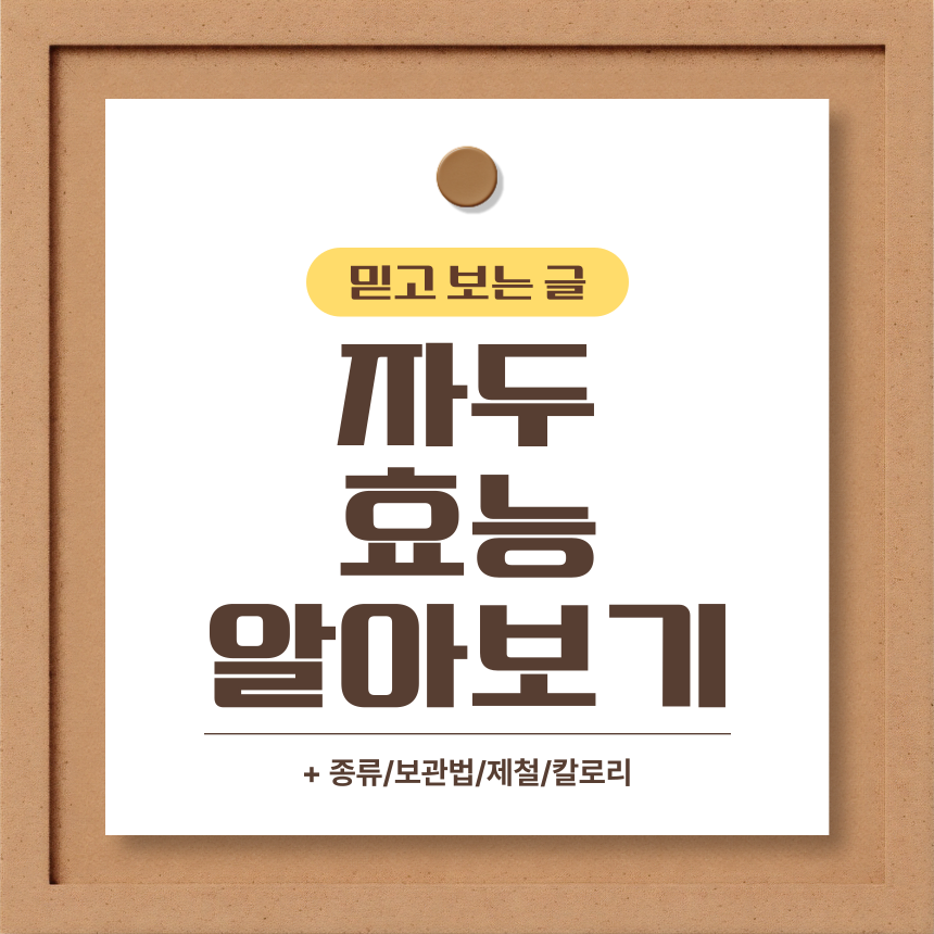  자두 효능 알아보기