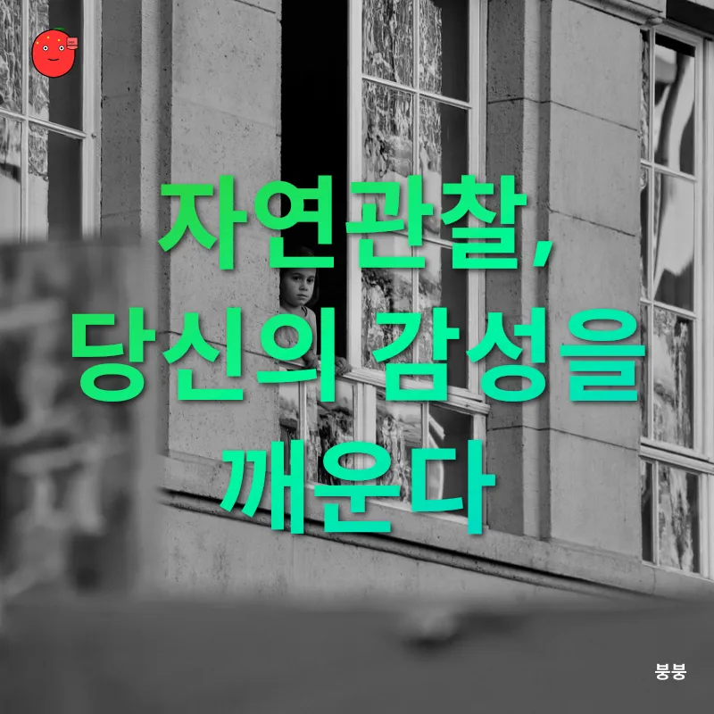 자연관찰_1