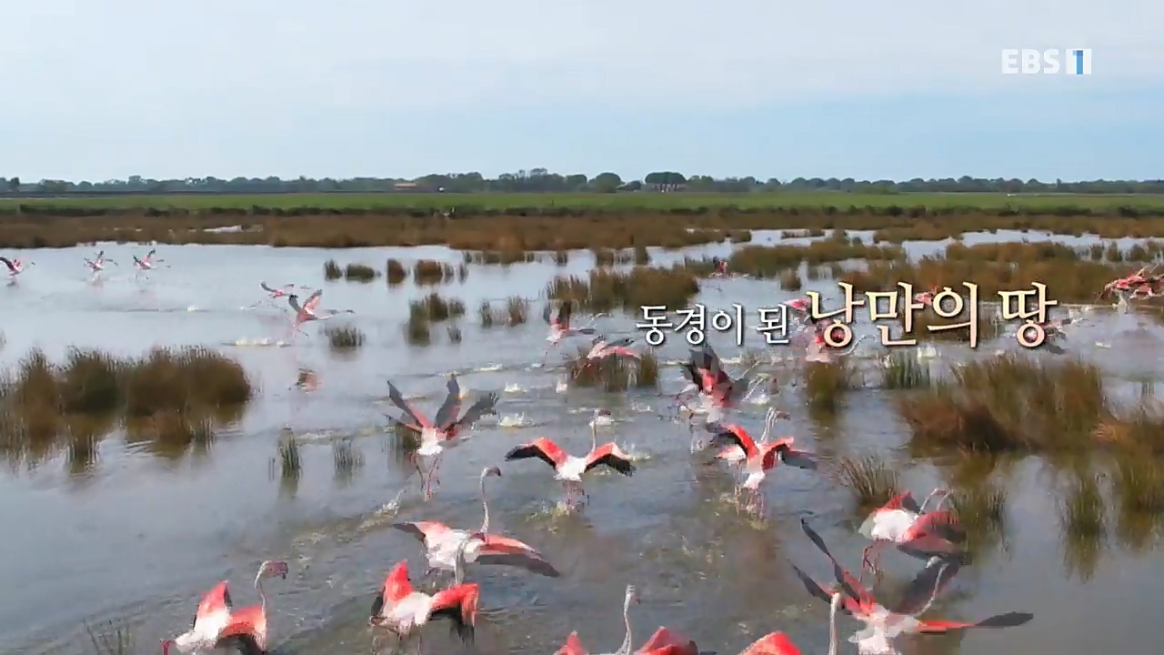 세상의모든기행_로망 가득 프랑스_몽블랑 가는길.mp4_20221023_185533.772.jpg