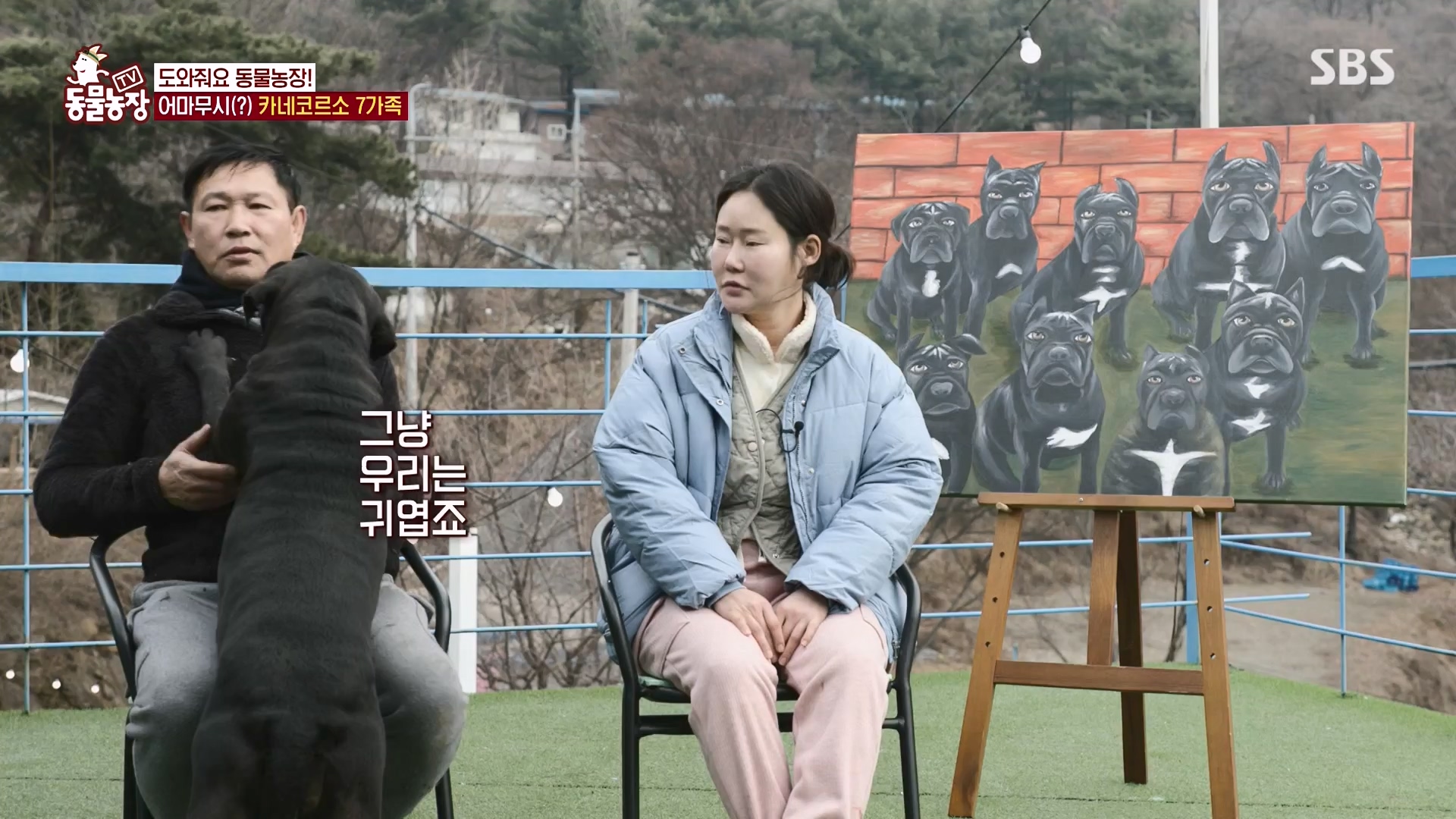 TV 동물농장.E1162.240310p-NEXT.mp4_20240310_162855.193.jpg