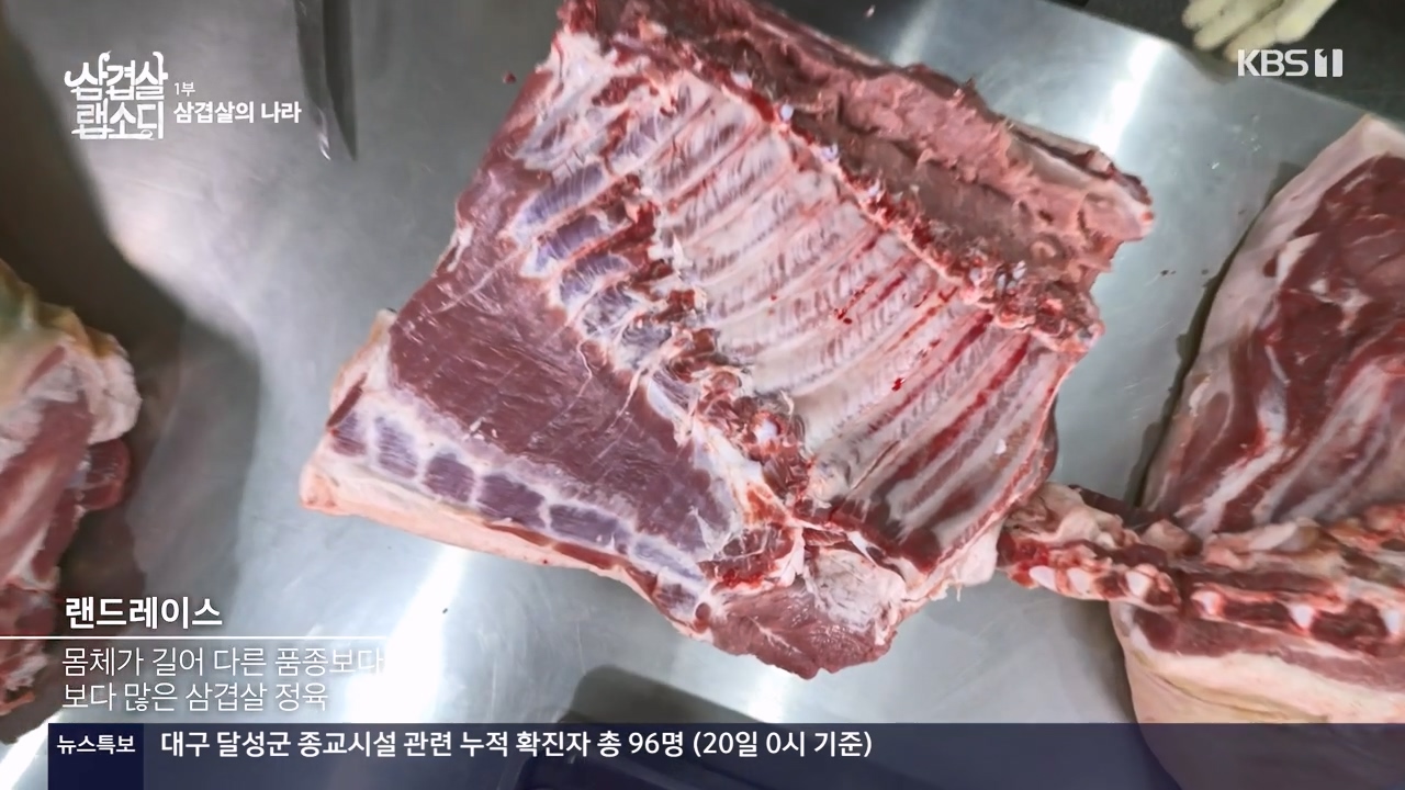 삼겹살 랩소디.E01.201221p-NEXT.mp4_20240221_201355.766.jpg